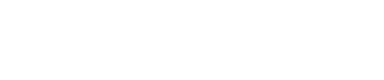 Premier Insurance Associates Inc.